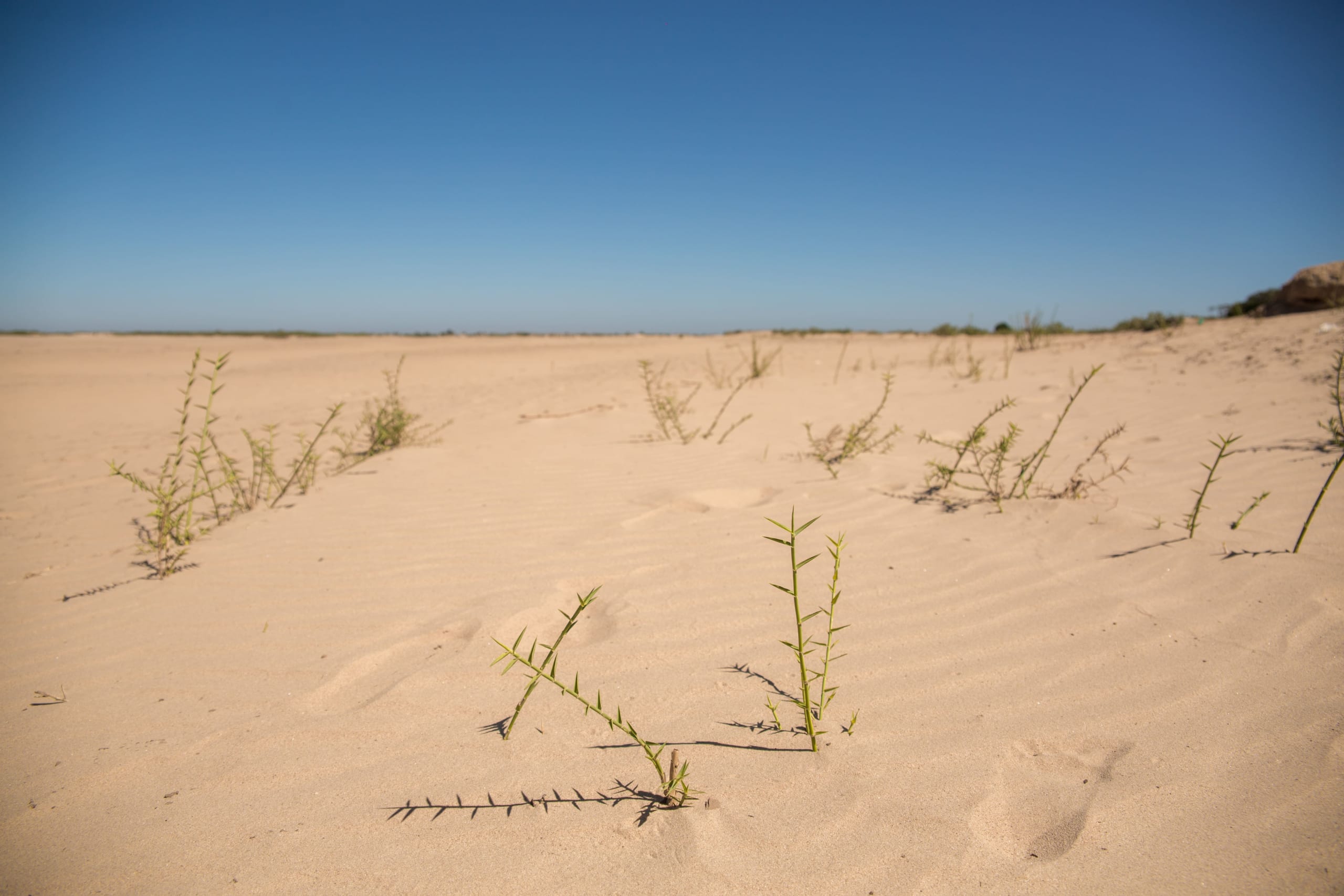 Madagascar malnutrition